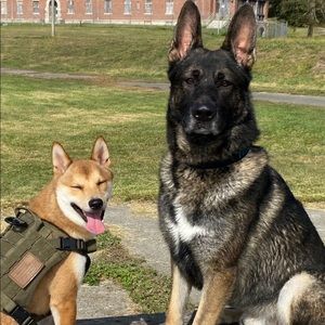 Meet your Posher, Patrick